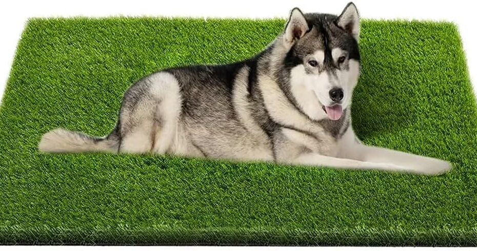 Transform Your Pet's Potty Experience: Review of the Ultimate Dog Grass Mat