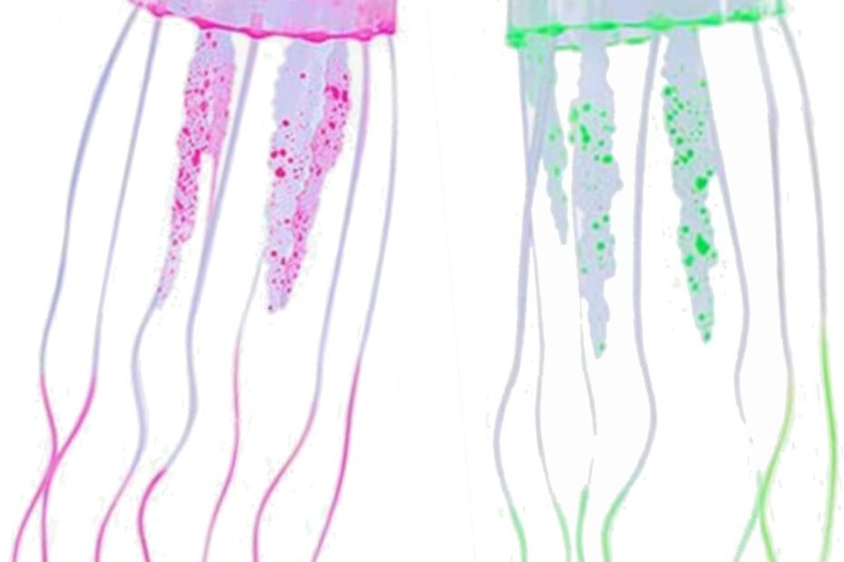 Transform Your Space: Review of the Extra Large Jellyfish Lava Lamp