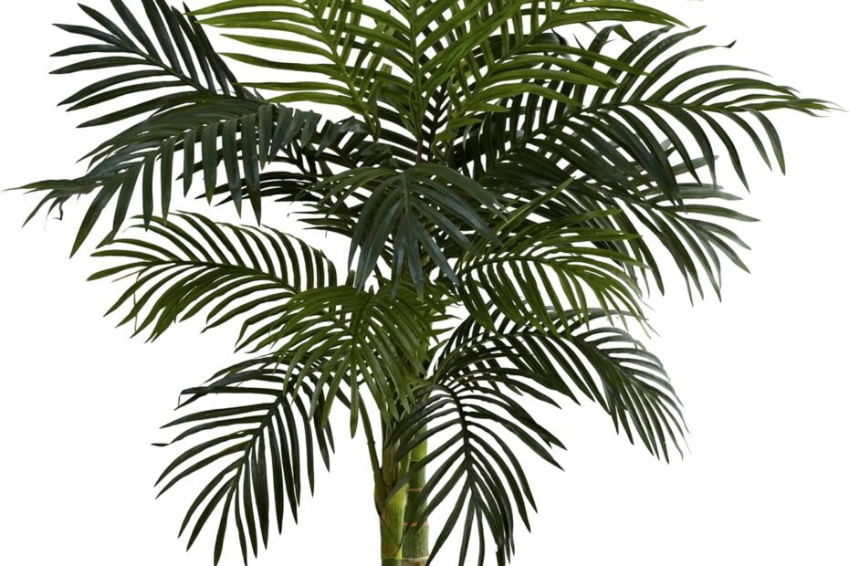 Transform Your Space with the Nearly Natural 4ft. Golden Cane Palm: A Review!