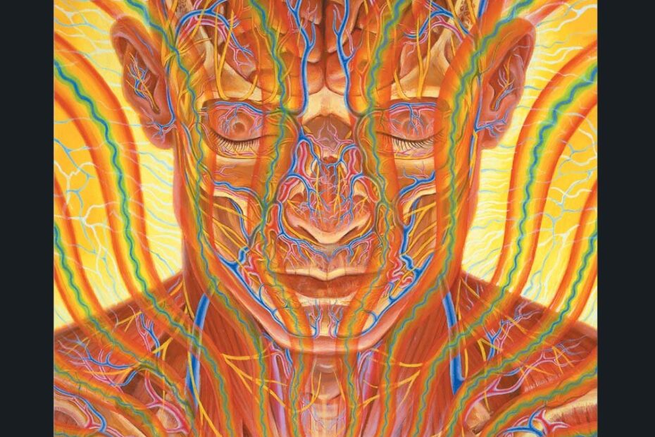 Discover the Transformative Art of Healing: A Review of Alex Grey's Artmind