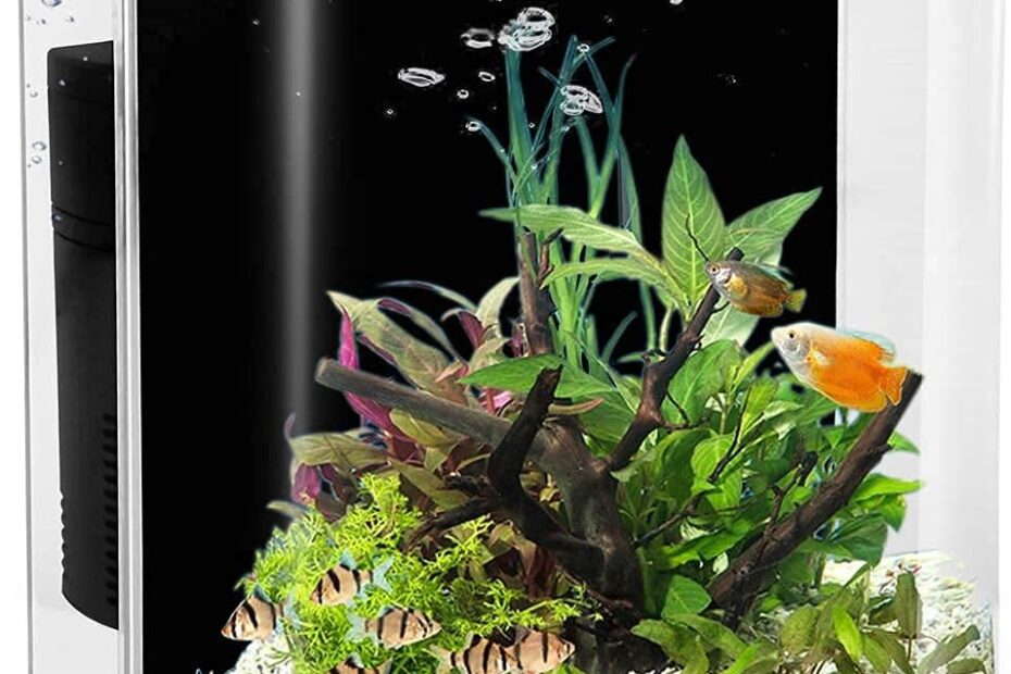 Dive into Serenity: The 1.2 Gallon Small Fish Tank Starter Kit Review