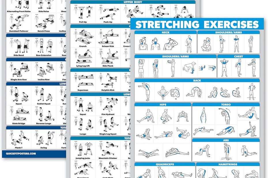Elevate Your Fitness: QuickFit's Ultimate Workout Poster Set Review!