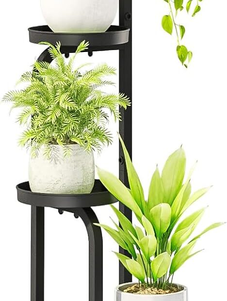 Elevate Your Greens: Review of the Bamworld 4-Tier Plant Stand