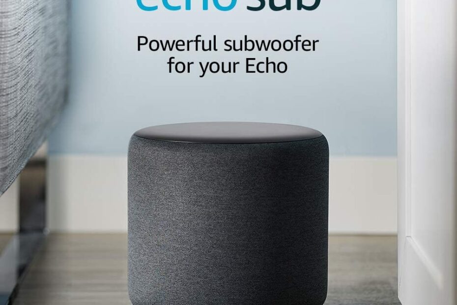 Elevate Your Sound Experience: A Review of the Echo Sub Subwoofer