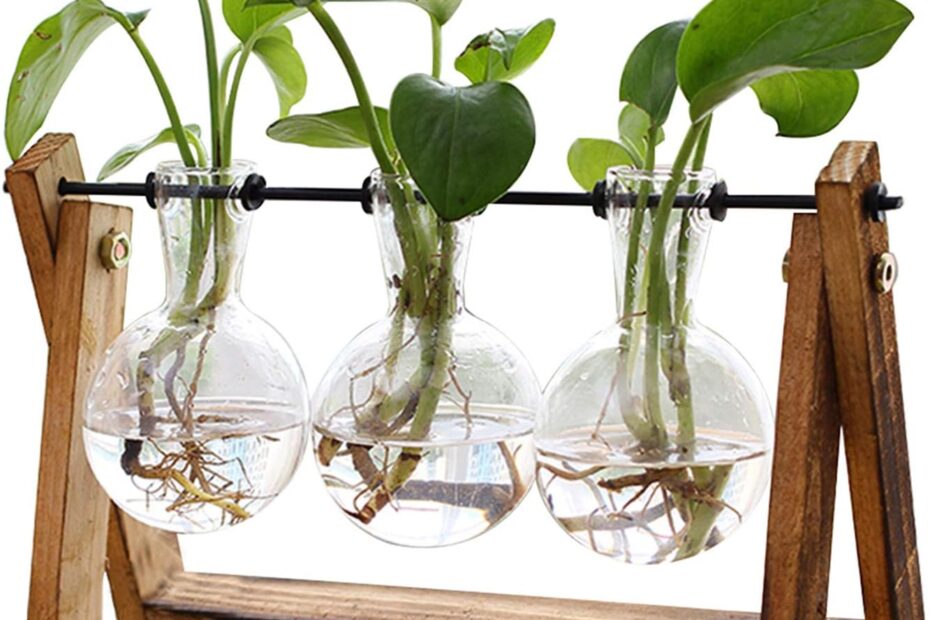 Elevate Your Space: A Review of the XXXFLOWER Terrarium for Stylish Hydroponics