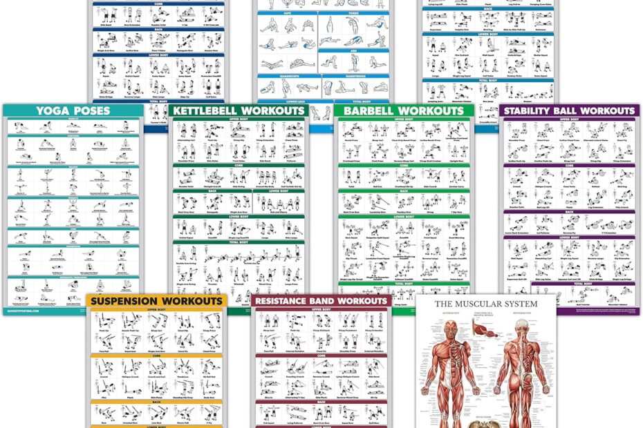 Elevate Your Workout: Review of the Ultimate 10-Pack Exercise Poster Set