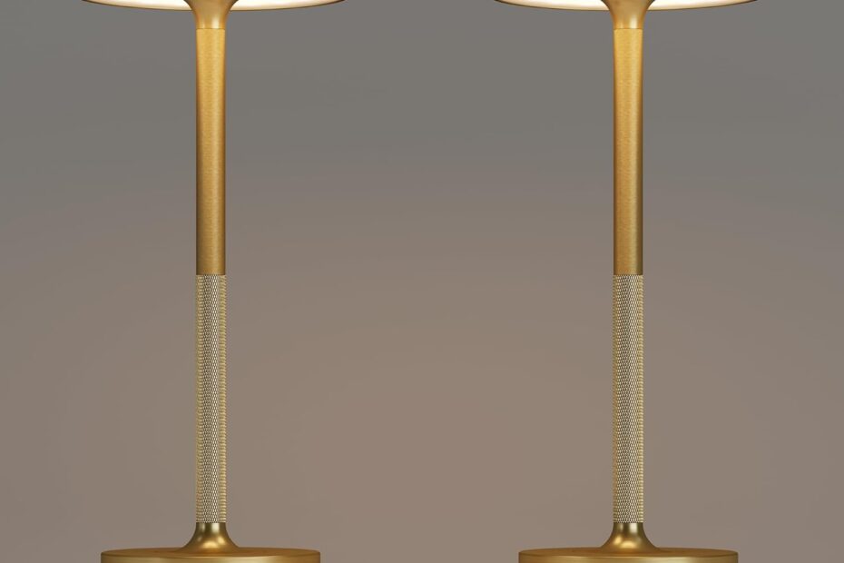 Illuminate Your Space: Reviews of the 2 Pack Rechargeable Cordless Table Lamps