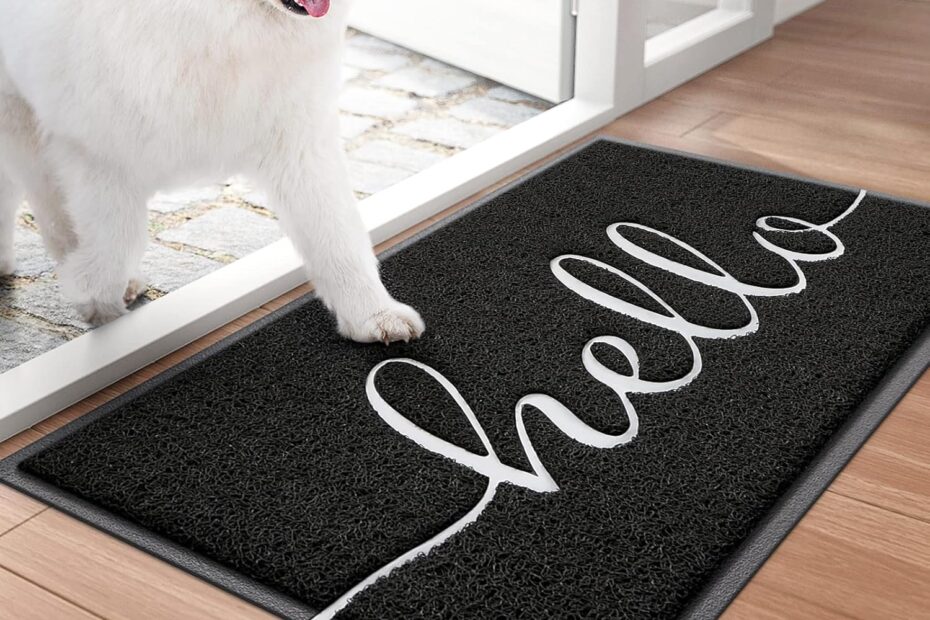 Step Into Style: Review of BeneathYourFeet Low Profile Welcome Mat