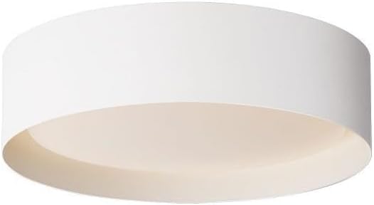 Transform Your Space: A Review of the Echo 25W LED Flush Mount Light