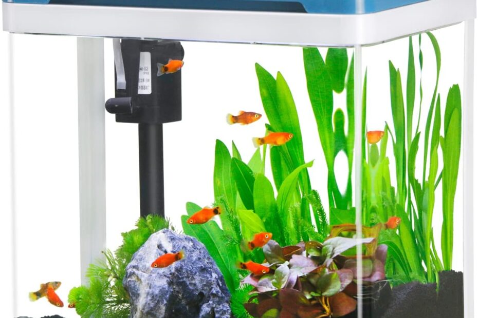 Transform Your Space: A Review of the Self-Cleaning 2 Gallon Glass Aquarium with Colorful LED!