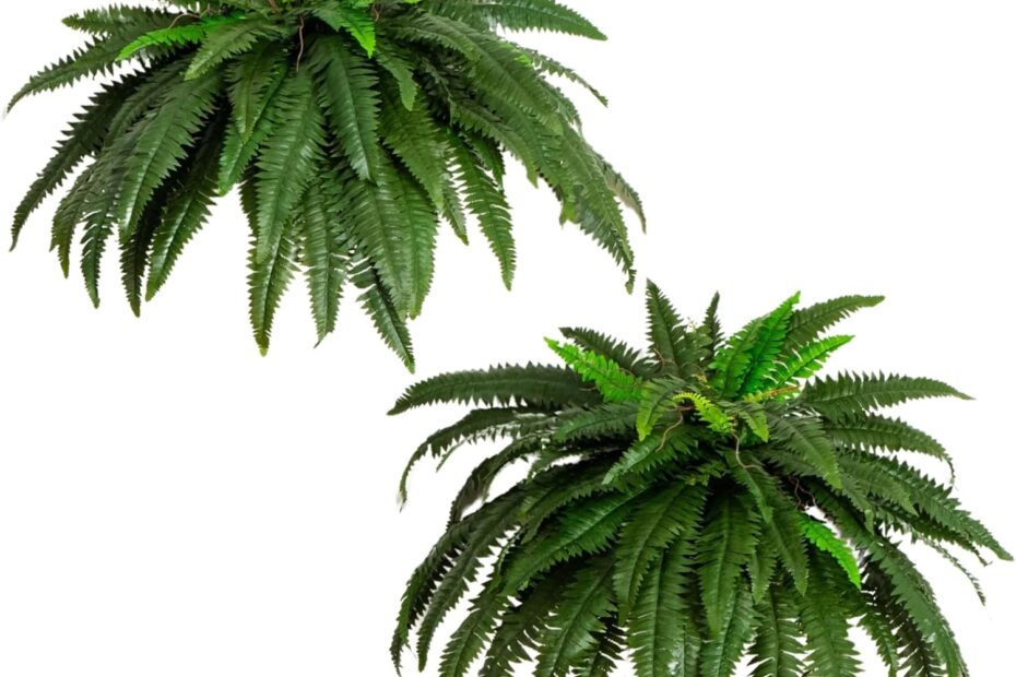 Transform Your Space: Nearly Natural 48-in Artificial Boston Fern Review