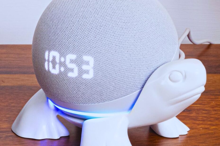 Turtle Echo Dot Stand: A Unique & Fun Accessory for Your Alexa!
