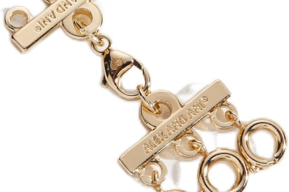 Unlock Style: The Alex and Ani Necklace Connector Closure Review