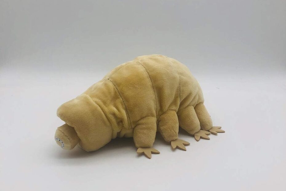 Dive into Cuddles: Discover the TAMMYFLYFLY Lifelike Tardigrade Plush!