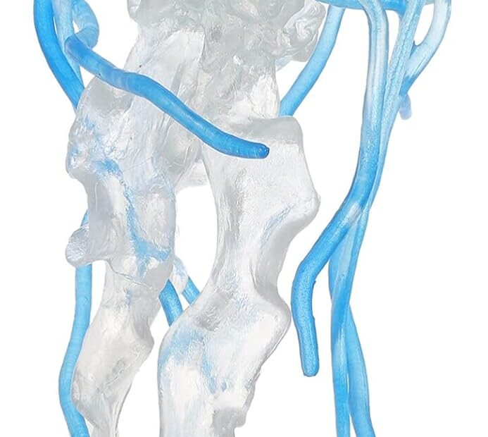 Dive Into Fun: A Review of Zerodeko's Realistic Jellyfish Toys!
