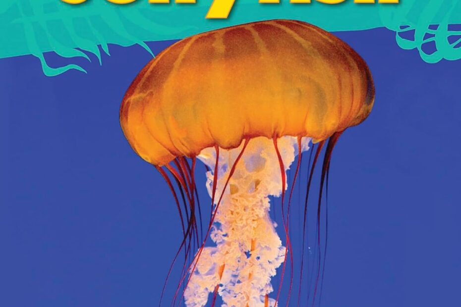 Dive into the Deep: Discover the Jellyfish Life Cycle Today!