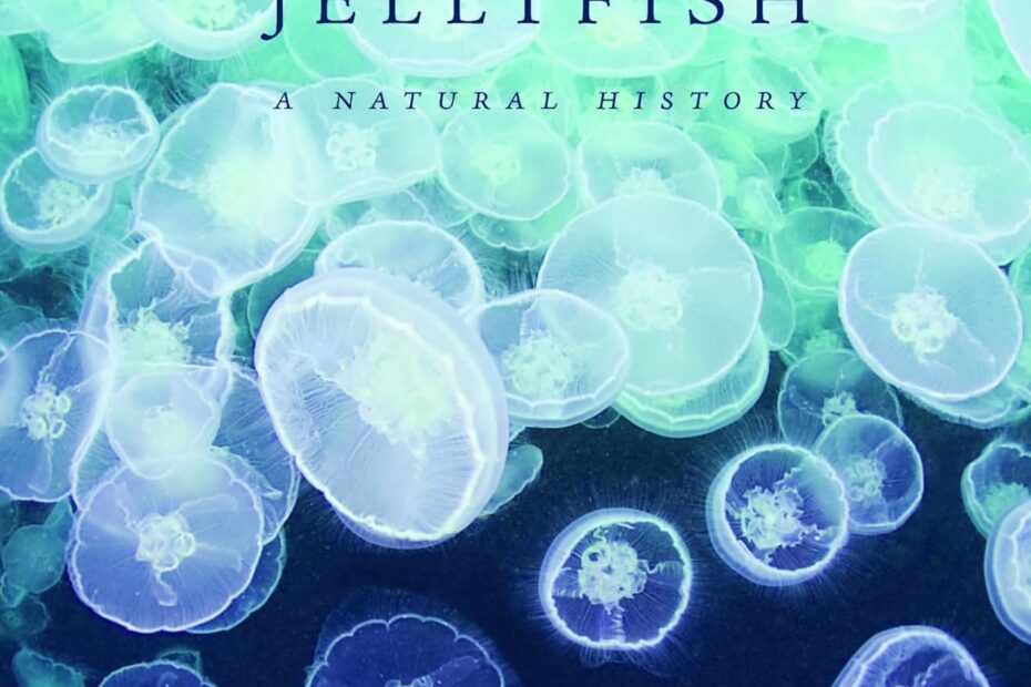 Dive into the Depths: A Review of 'Jellyfish: A Natural History'