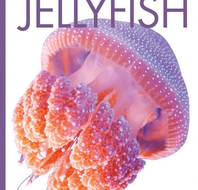 Dive into the Wonders of Jellyfish: A Review of Amazing Animals!