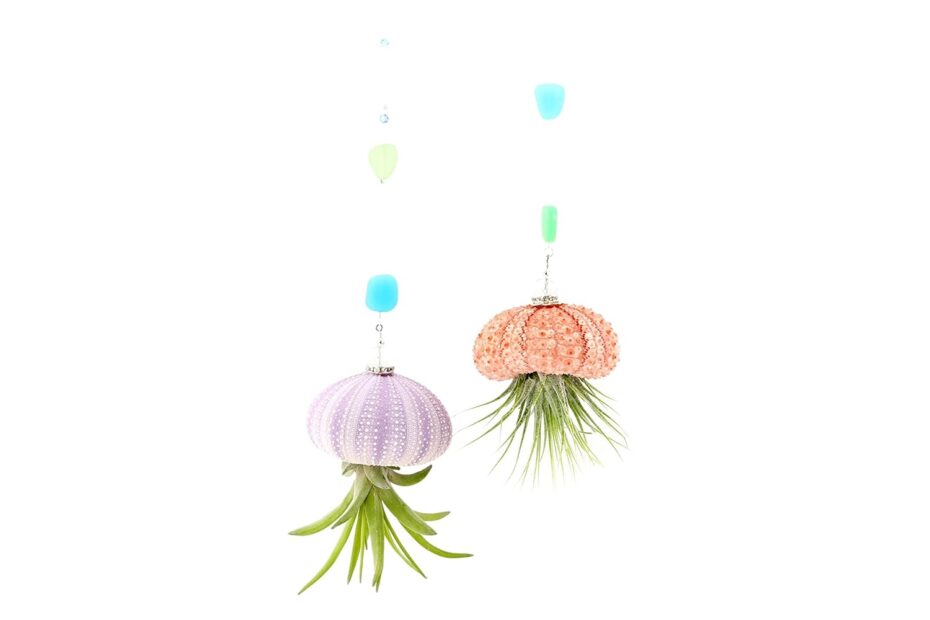 Elevate Your Space with 2 Dirty Birds: Handmade Jellyfish Air Plants & Ocean-Inspired Decor