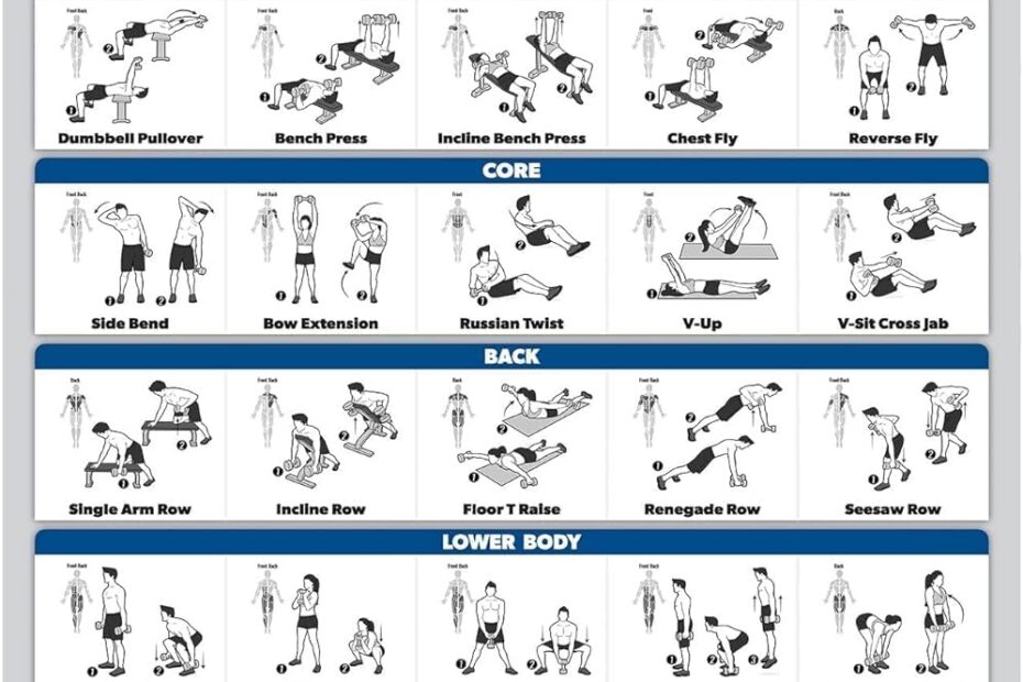 Maximize Your Gains: The Ultimate Palace Learning Dumbbell Workout Poster Review