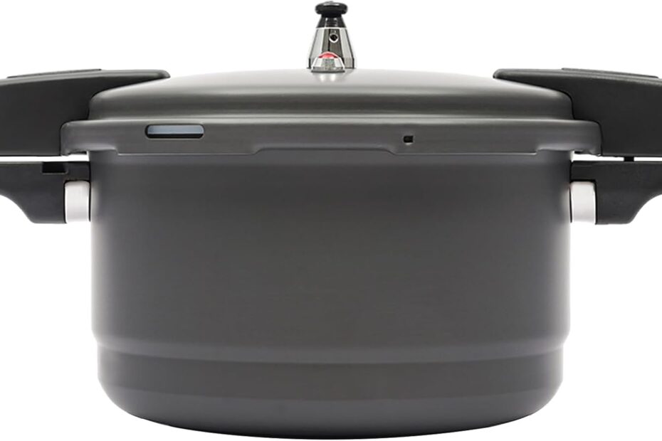 Speedy Gourmet: LYNICESHOP 9L Aluminum Pressure Cooker Review