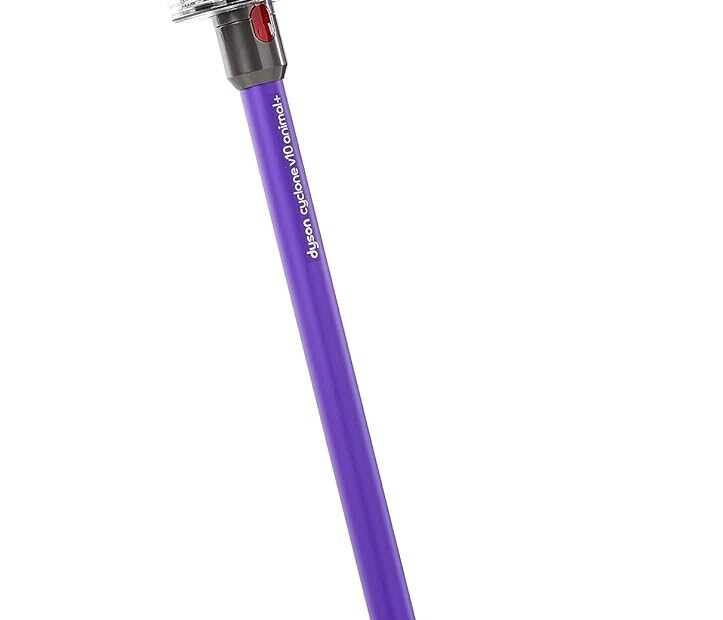 Unleash Cleaning Power: Dyson Cyclone V10 Animal+ Vacuum Reviewed