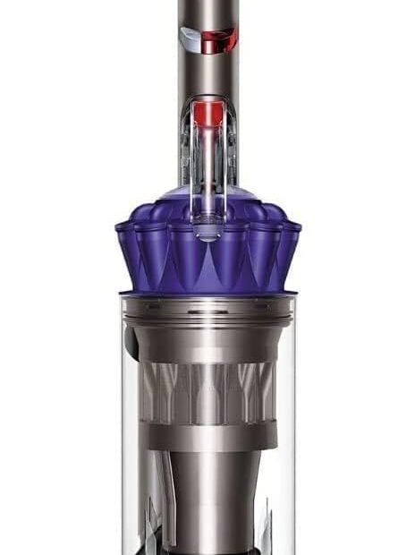 Unleash Pet Hair Power: Dyson Ball Animal 2 Review