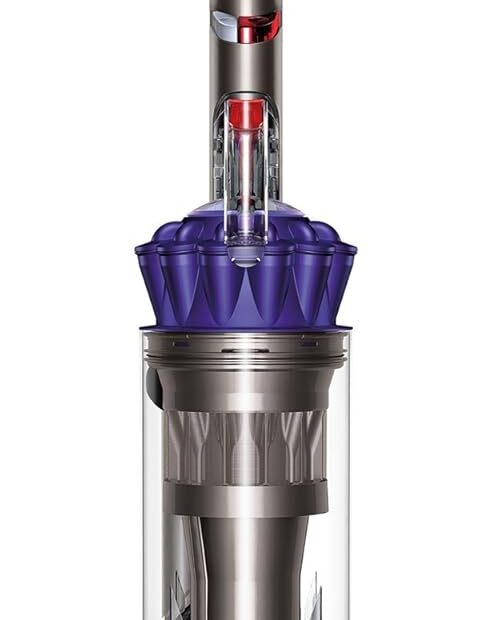 Unleash the Power: Dyson Ball Animal Vacuum Review