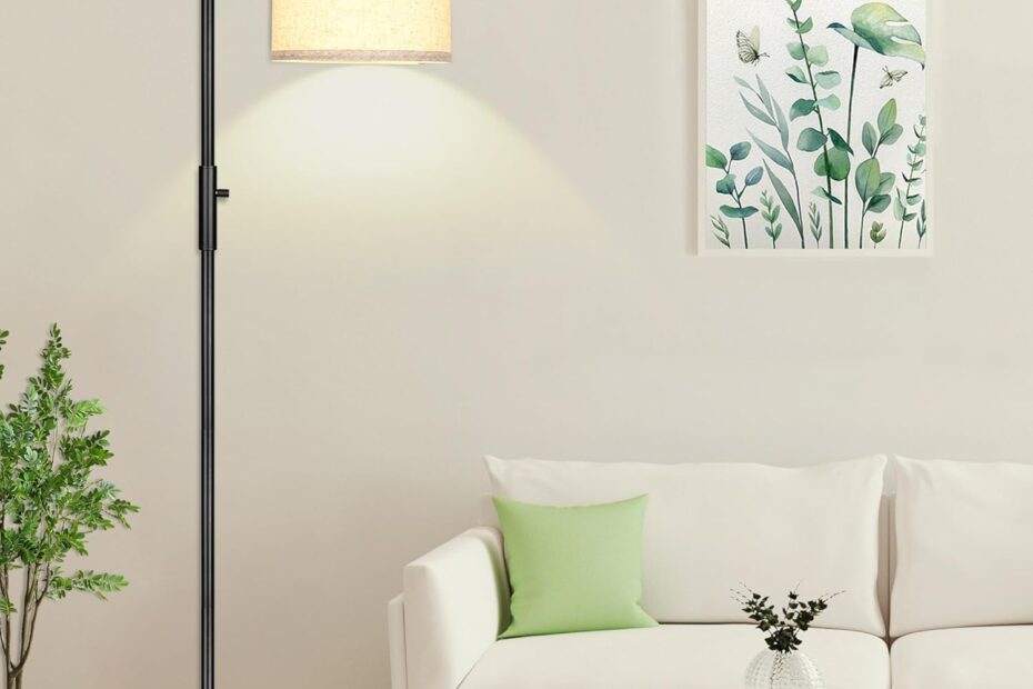 Illuminate Your Space: A Review of the ROTTOGOON Dimmable Floor Lamp
