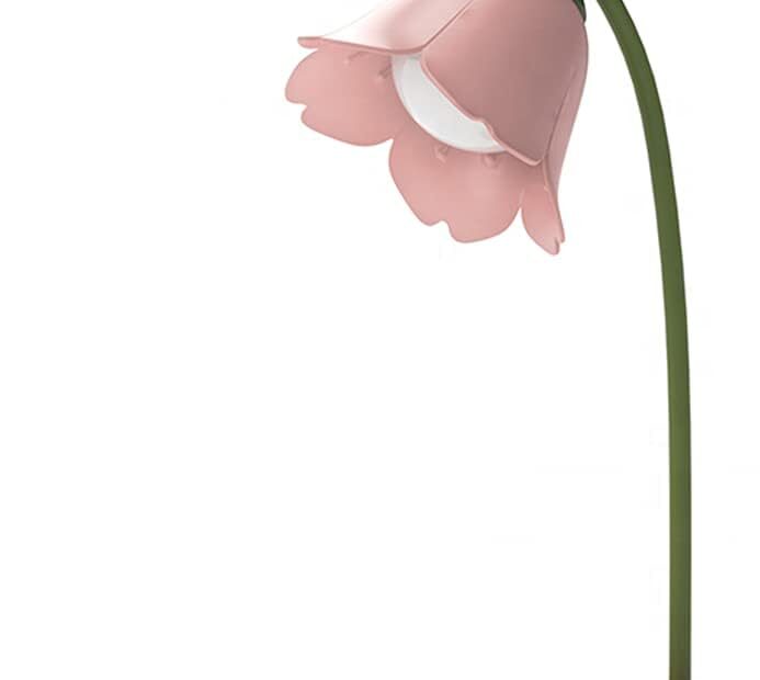 Illuminate Your Space: Review of the Cordless LED Desk Lamp for Kids & Students