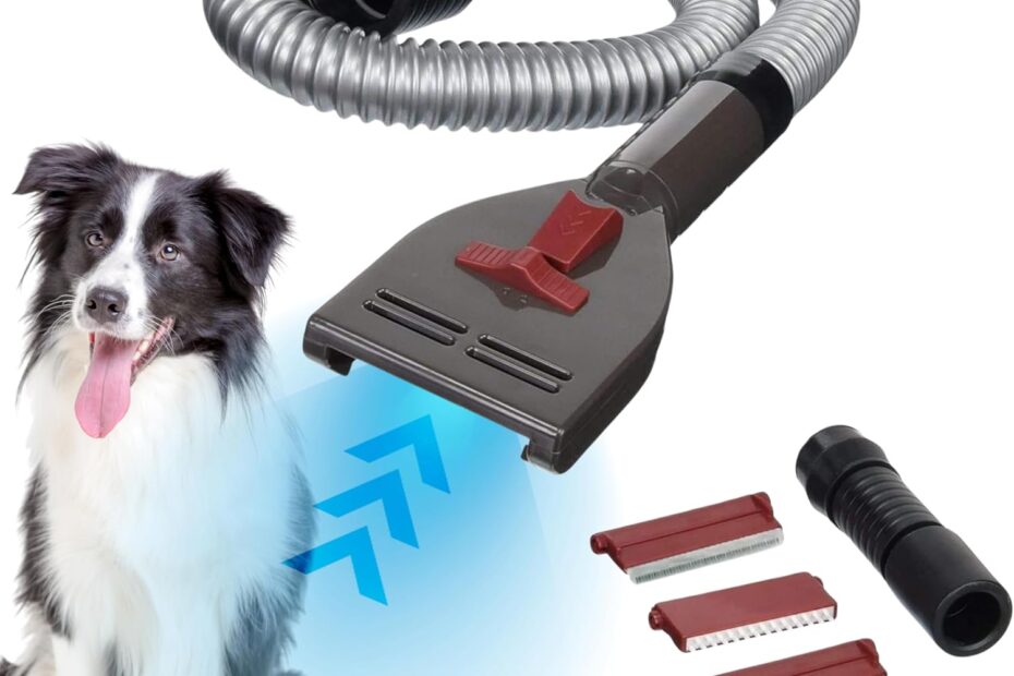 Say Goodbye to Shedding: The Penn-Plax VacGroom Review!
