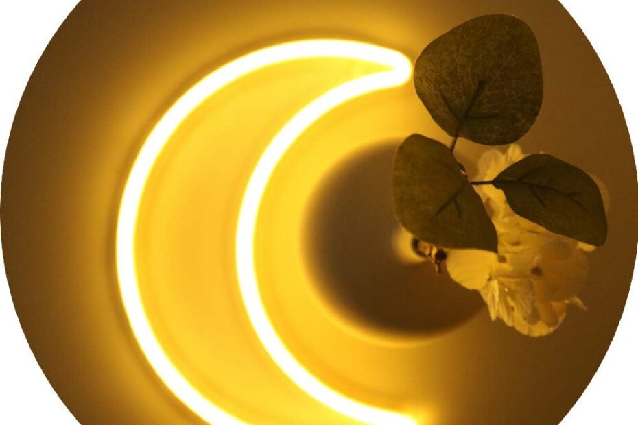 Illuminate Your Space: Discover the Magic of the LED Warm White Moon Neon Light!
