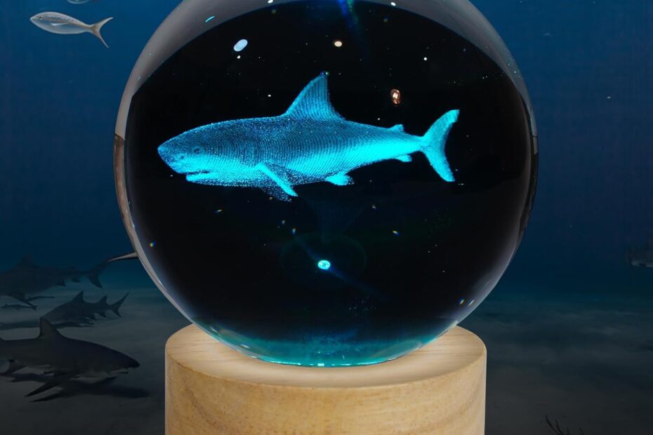 Illuminate Your Space: The 3D Shark Crystal Ball Night Light Review