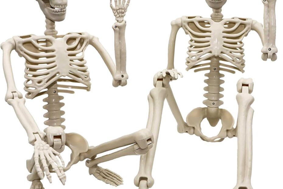 Life-Sized Halloween Skeletons: The Spookiest Decor for Your Yard!