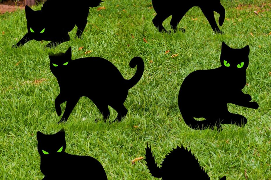 Spook Up Your Yard: Review of 6 Pack Black Cat Halloween Decorations with Glow-in-the-Dark Eyes