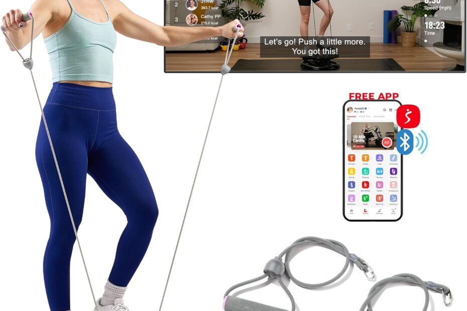 Get Fit at Home: Review of the Sunny Health & Fitness Mini Stepper