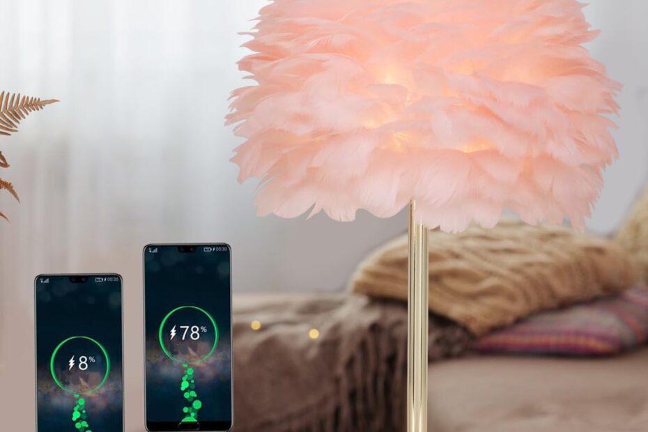 Illuminate Your Space: ZYLEIESENBAO Pink Feather USB Charger Table Lamp Review