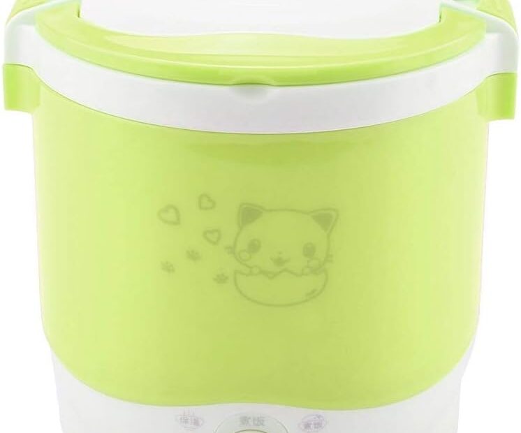 On-the-Go Goodness: Review of the GOTOTOP 12V Portable Rice Cooker