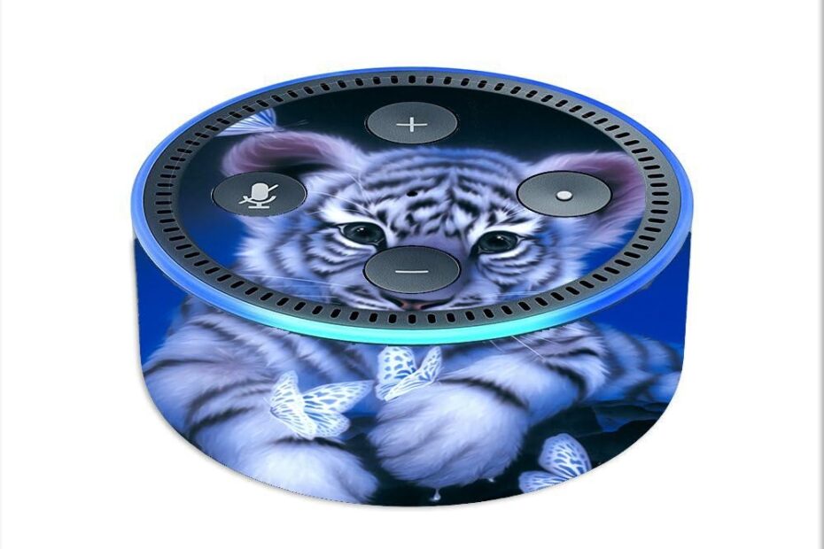 Transform Your Echo Dot 2 with Adorable White Tiger Cub & Butterfly Skins!